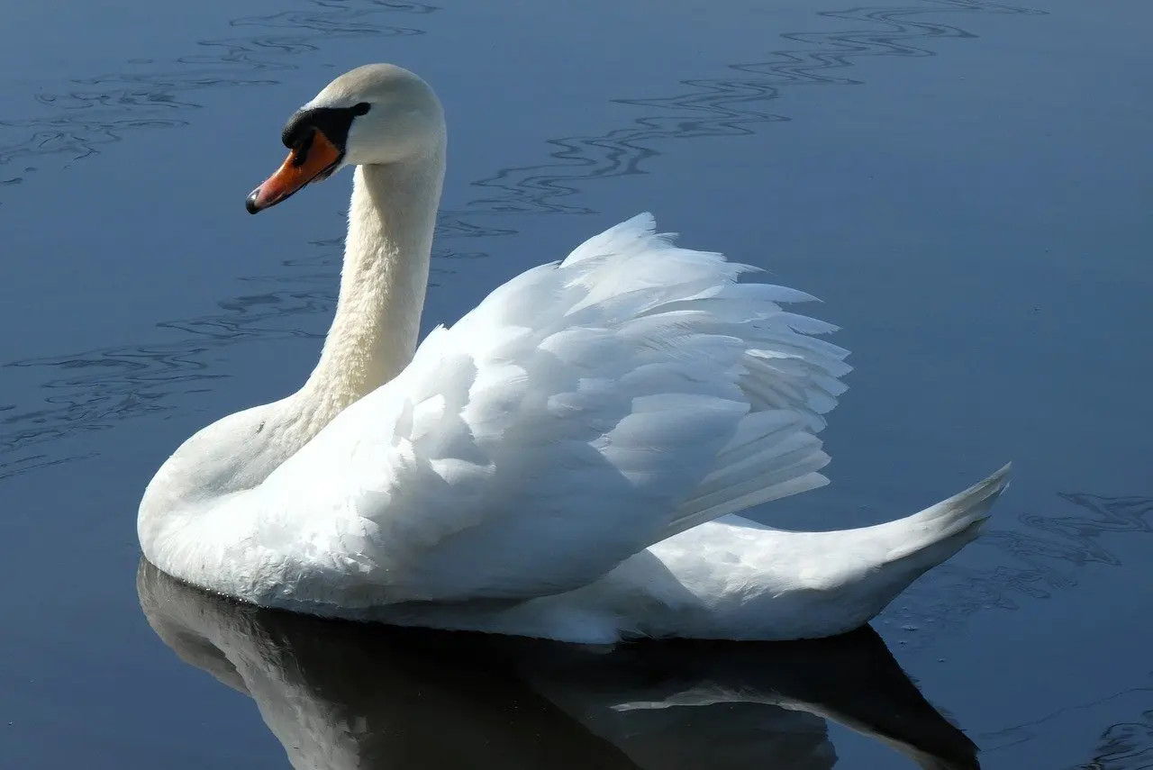 Hvordan justerer jeg lysstyrken på mit barberspejl?